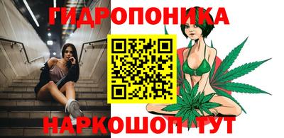 тгк Обь