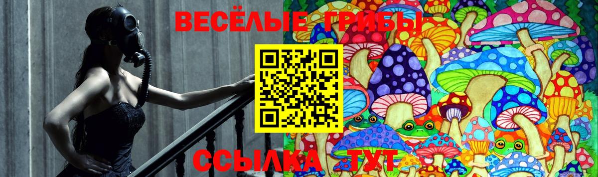 Солнечногорск  Псилоцибиновые грибы Magic Shrooms  Вход с VPN 